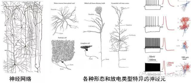 中國腦健康日關(guān)注“頭”等大事，中國腦科技的未來是什么？