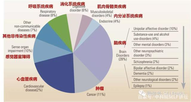 中國腦健康日關(guān)注“頭”等大事，中國腦科技的未來是什么？